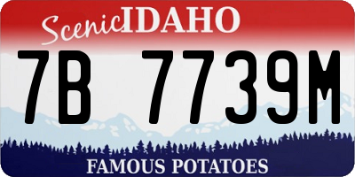 ID license plate 7B7739M