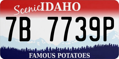 ID license plate 7B7739P