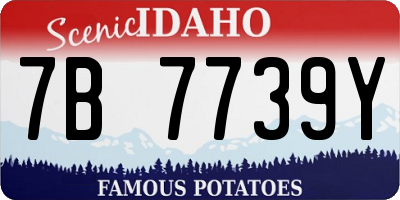 ID license plate 7B7739Y