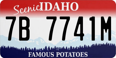 ID license plate 7B7741M