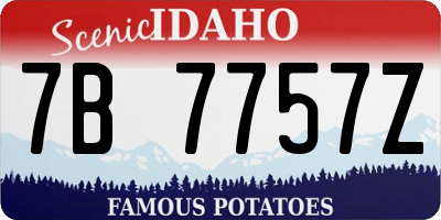 ID license plate 7B7757Z