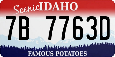 ID license plate 7B7763D