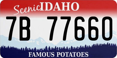 ID license plate 7B7766O