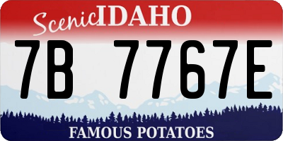 ID license plate 7B7767E