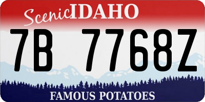 ID license plate 7B7768Z