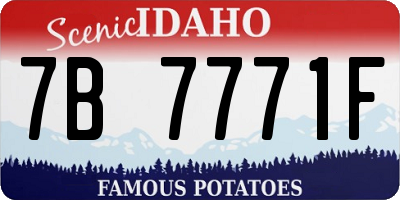ID license plate 7B7771F