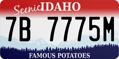 ID license plate 7B7775M