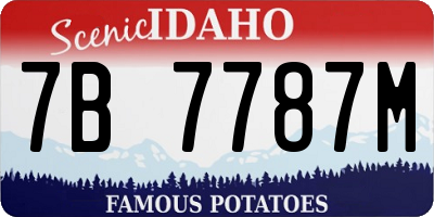 ID license plate 7B7787M