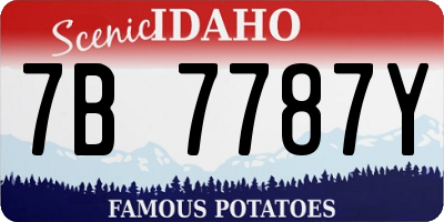 ID license plate 7B7787Y