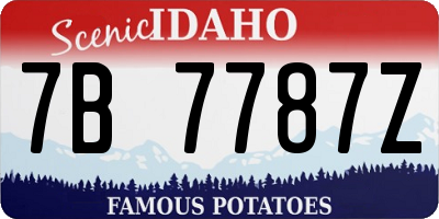 ID license plate 7B7787Z