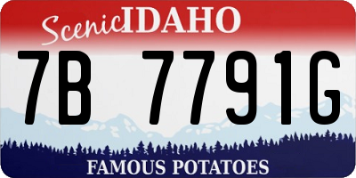 ID license plate 7B7791G