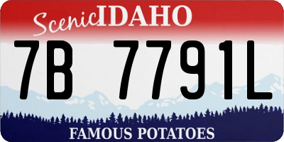 ID license plate 7B7791L