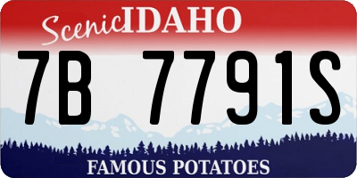 ID license plate 7B7791S