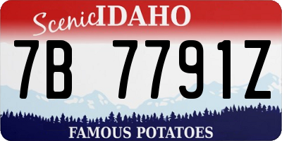 ID license plate 7B7791Z