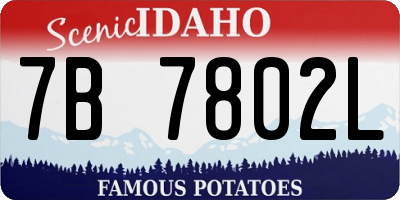 ID license plate 7B7802L