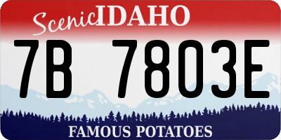ID license plate 7B7803E