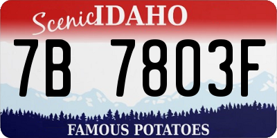 ID license plate 7B7803F