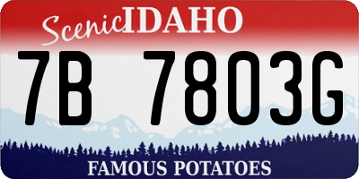 ID license plate 7B7803G
