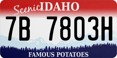 ID license plate 7B7803H