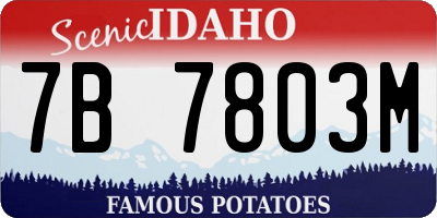 ID license plate 7B7803M