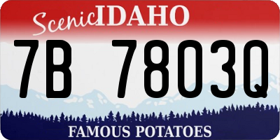 ID license plate 7B7803Q