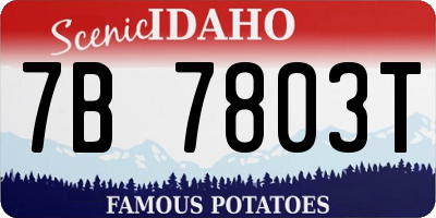 ID license plate 7B7803T