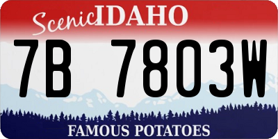 ID license plate 7B7803W