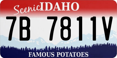 ID license plate 7B7811V