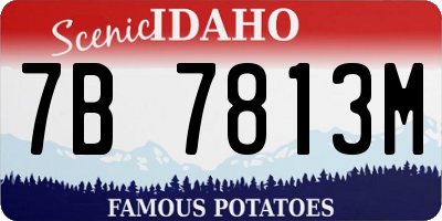 ID license plate 7B7813M