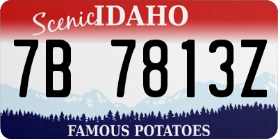 ID license plate 7B7813Z