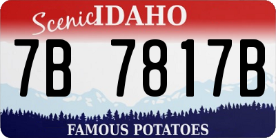 ID license plate 7B7817B
