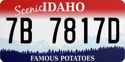 ID license plate 7B7817D