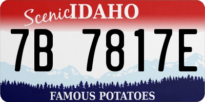 ID license plate 7B7817E