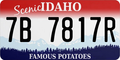 ID license plate 7B7817R