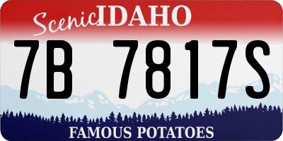 ID license plate 7B7817S