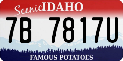 ID license plate 7B7817U