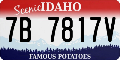 ID license plate 7B7817V