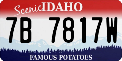 ID license plate 7B7817W