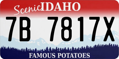 ID license plate 7B7817X