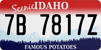 ID license plate 7B7817Z