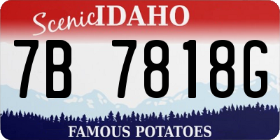 ID license plate 7B7818G
