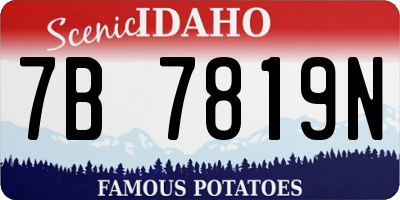 ID license plate 7B7819N