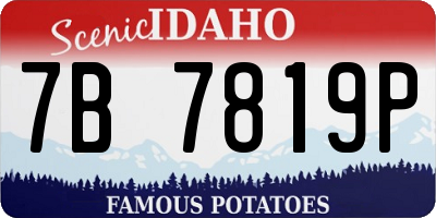 ID license plate 7B7819P