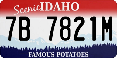 ID license plate 7B7821M