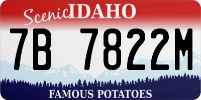 ID license plate 7B7822M