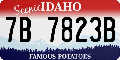 ID license plate 7B7823B
