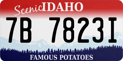 ID license plate 7B7823I