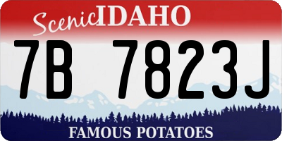 ID license plate 7B7823J