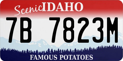ID license plate 7B7823M