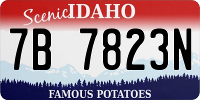 ID license plate 7B7823N